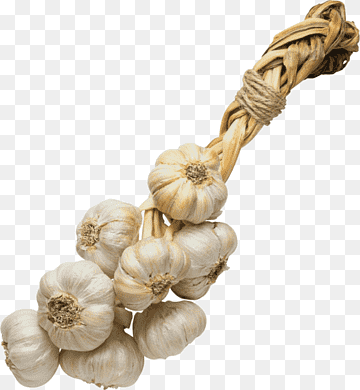 AJO RISTRA