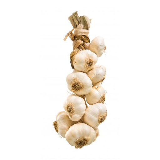 AJO RISTRA