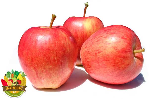 Manzanas Rojas Kg